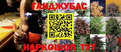 индика Бийск