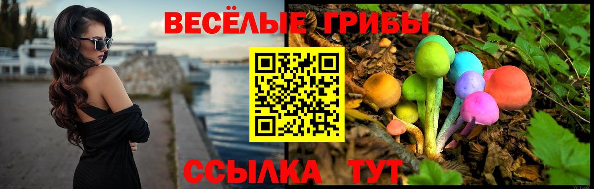 Галлюциногенные грибы GOLDEN TEACHER Волгоград